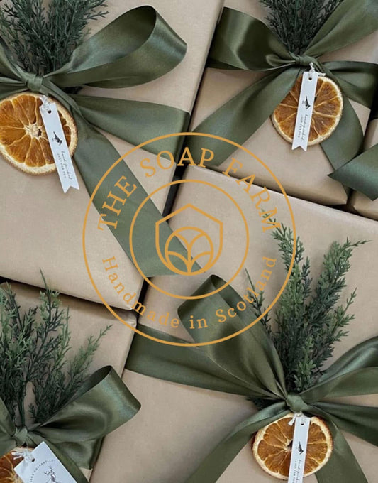 The Wellness Box